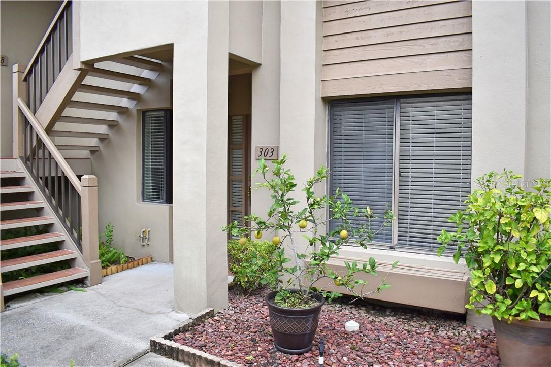 3009 Landmark Blvd. #303, Palm Harbor, FL 34684