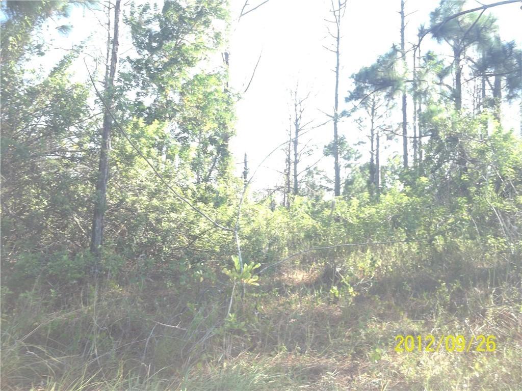 1254 Edmund St., Lehigh Acres, FL 33974