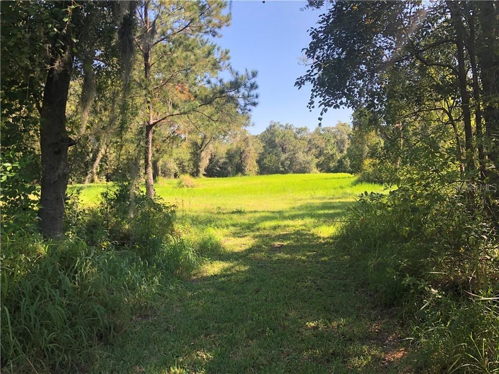 17900 Geraci Rd., Lutz, FL 33548