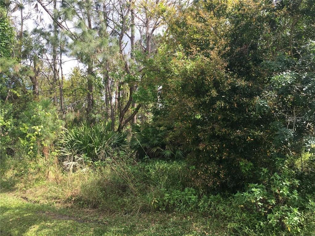 Dampierre Ct., Kissimmee, FL 34759