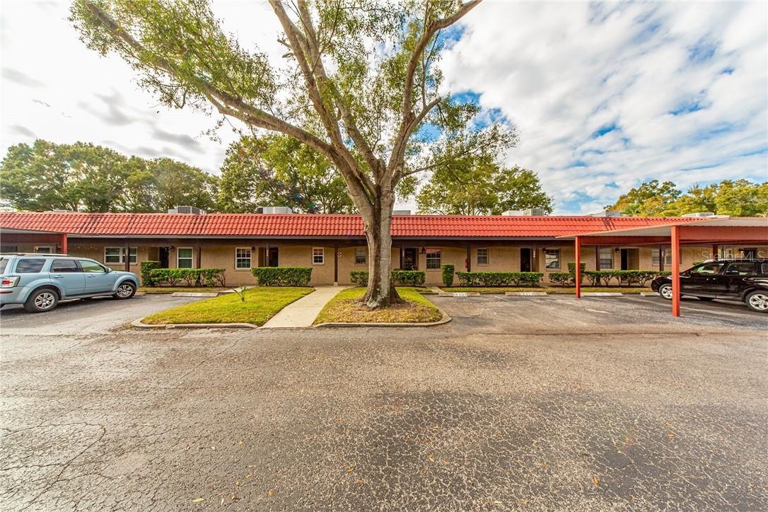 601 N Hercules Ave. #504, Clearwater, FL 33765