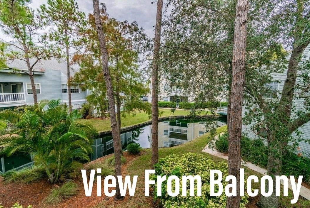 6826 Stonesthrow Cir. #11206, St Petersburg, FL 33710
