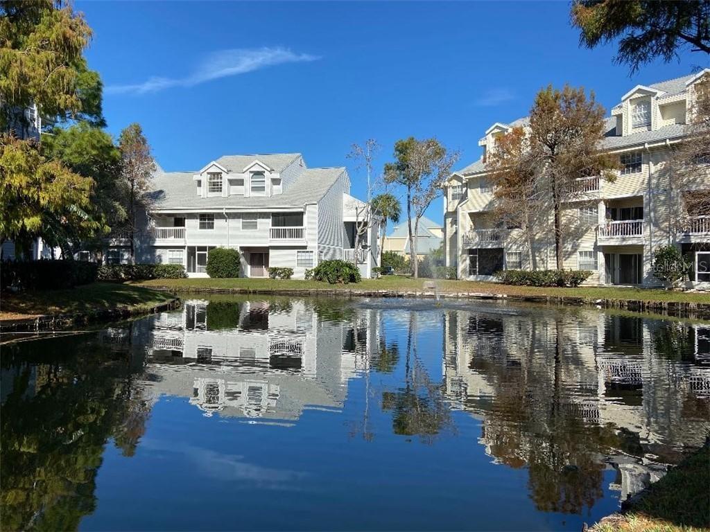 6923 Stones Throw Cir. #4103, St Petersburg, FL 33710