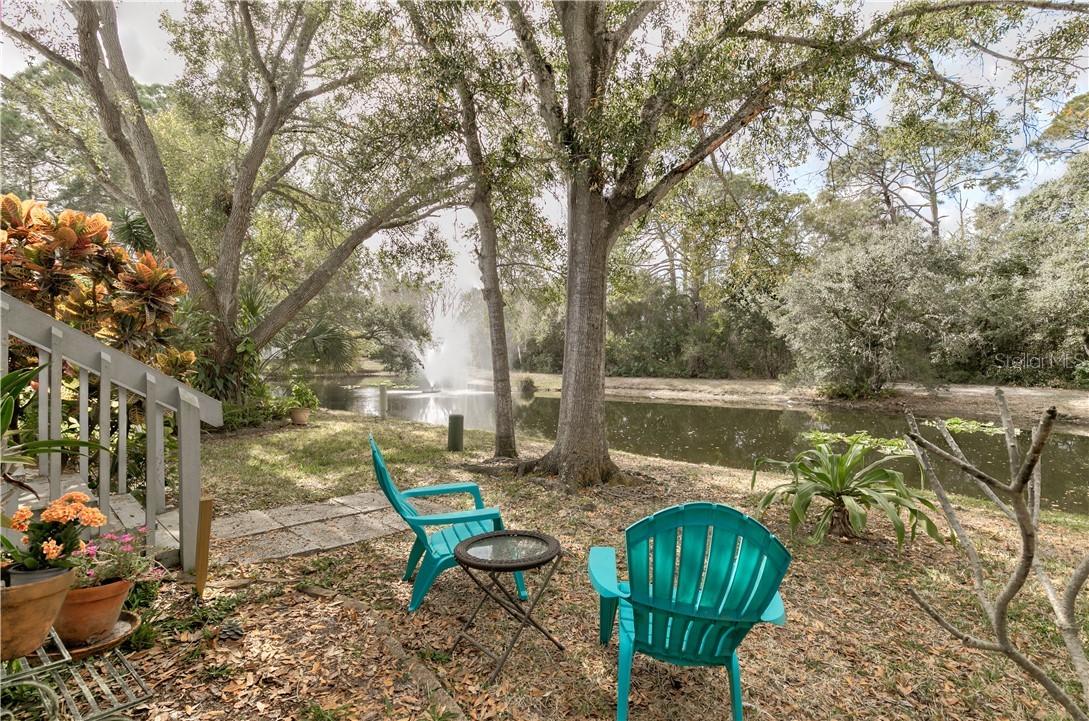 441 Swalecliff Close, Palm Harbor, FL 34683