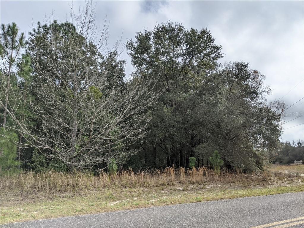 Locust Rd., Ocala, FL 34472