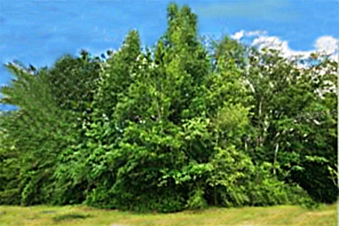 LOT 10 SW Sw 77th Ct., Ocala, FL 34471