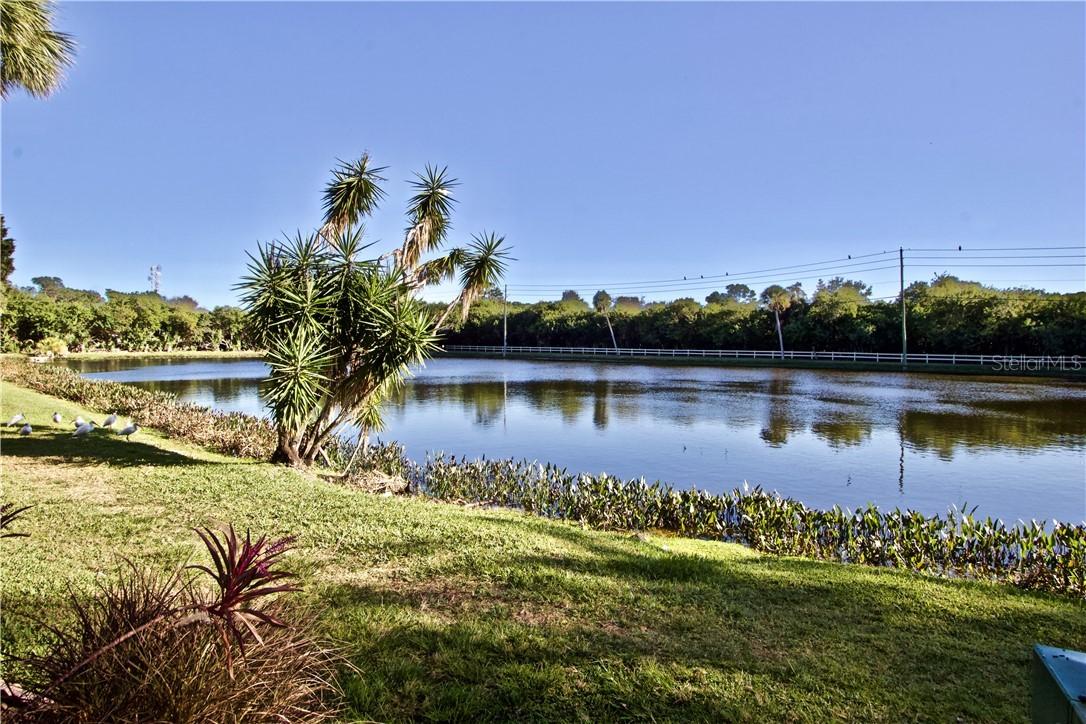 746 115th Ave. #1805, St Petersburg, FL 33716