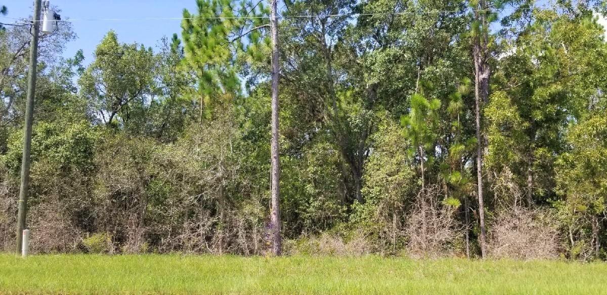Marion Oaks Pass, Ocala, FL 34473