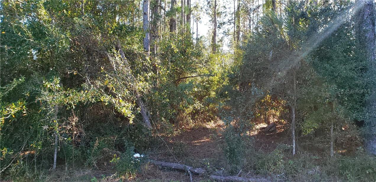 1007 Newberger Rd., Lutz, FL 33549