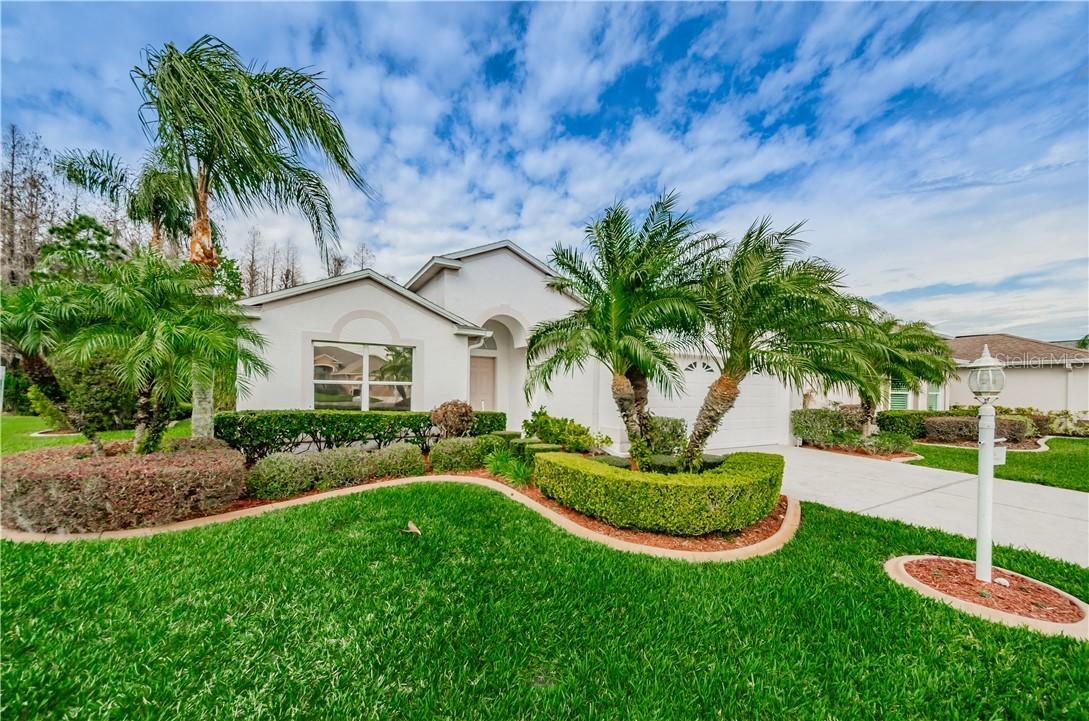 11424 Wedgemere Dr., Trinity, FL 34655