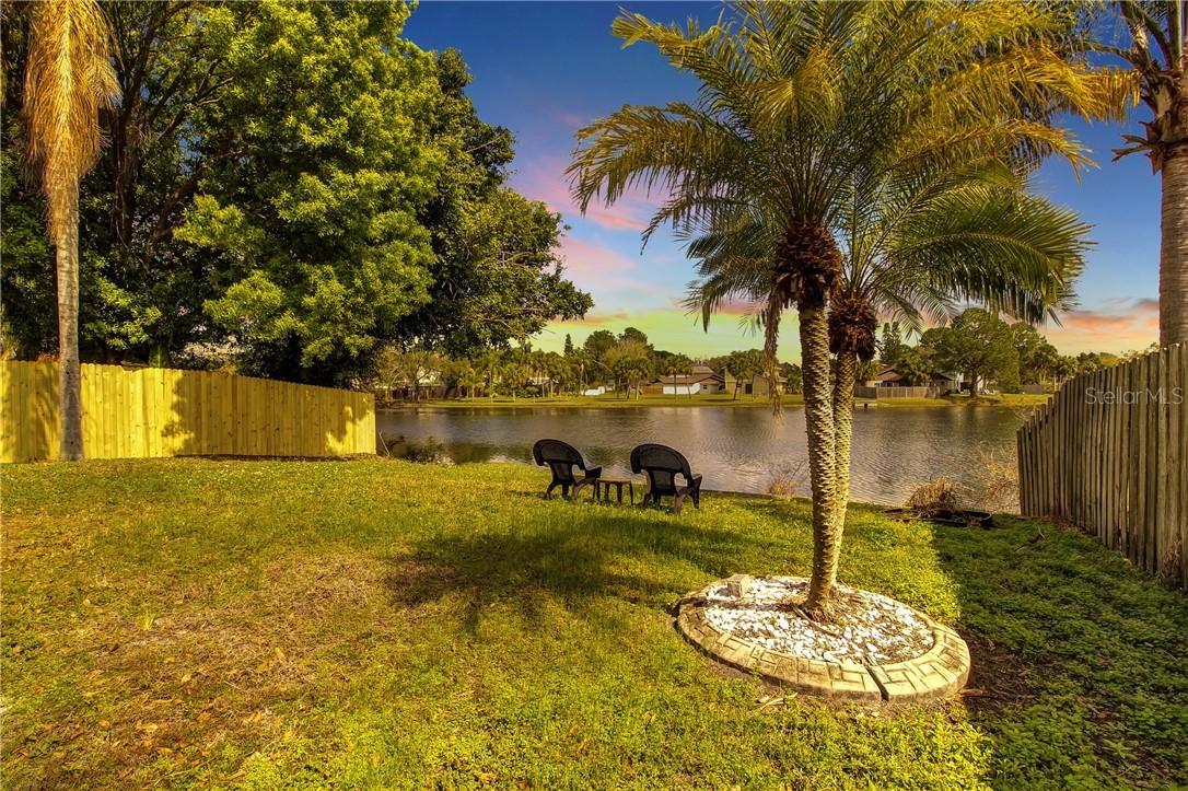 10117 Cedar Dune Dr., Tampa, FL 33624