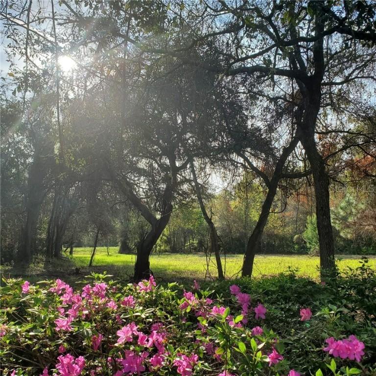 11804 Lakeview Dr., New Port Richey, FL 34654