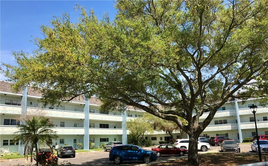 2254 Norwegian Dr. #30, Clearwater, FL 33763