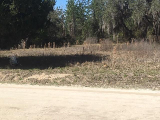 21897 NE 135th Ln., Fort Mc Coy, FL 32134