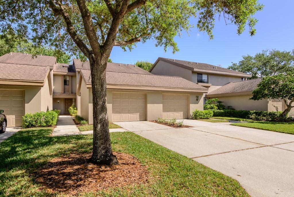 3017 Landmark Blvd. #503, Palm Harbor, FL 34684