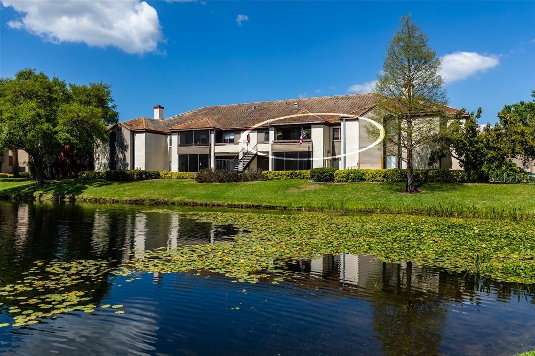 10265 Gandy Blvd. #812, St Petersburg, FL 33702