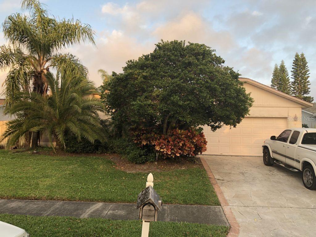 2465 Islander Ct., Palm Harbor, FL 34683