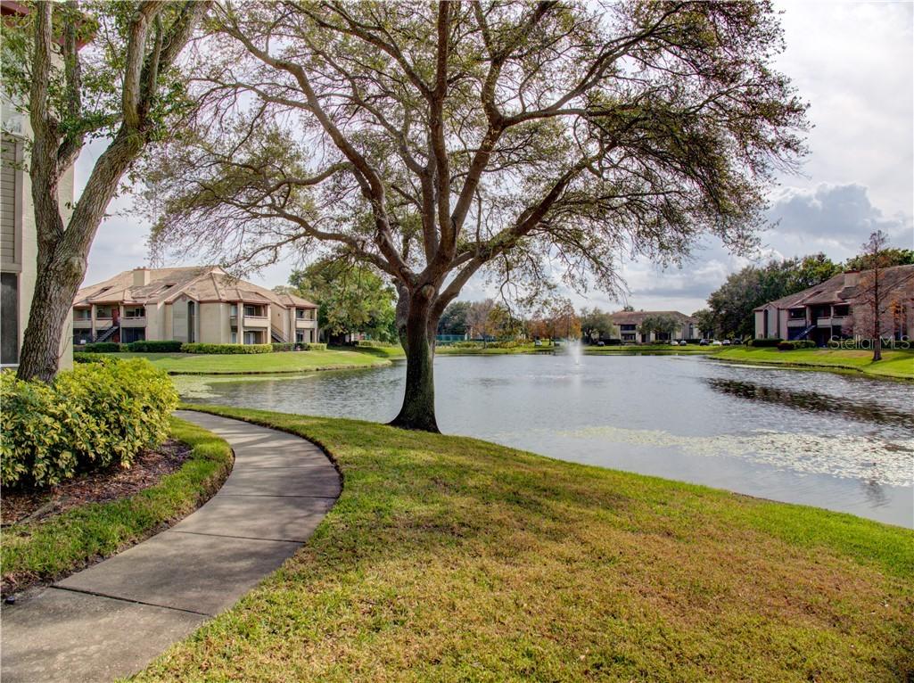 10265 Gandy Blvd. #811, St Petersburg, FL 33702