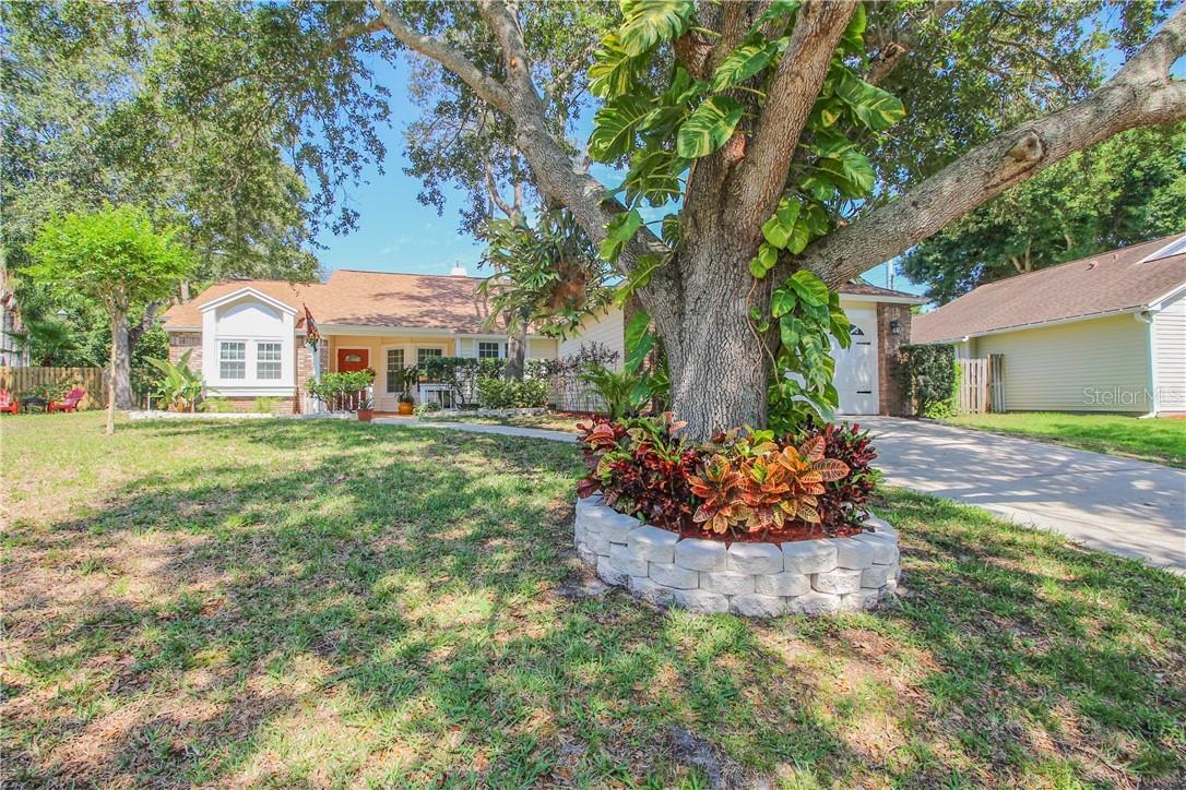 849 Edgehill Dr., Palm Harbor, FL 34684