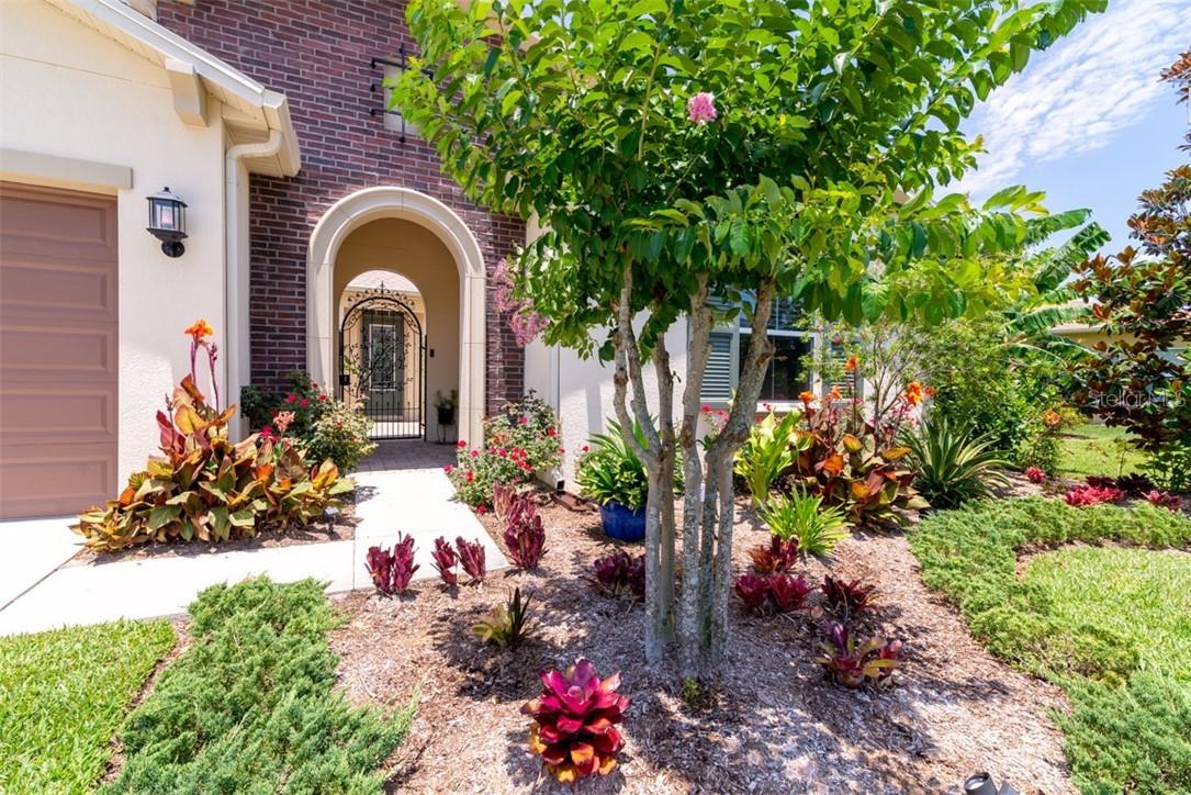 32003 Mardelle Pl., Wesley Chapel, FL 33543