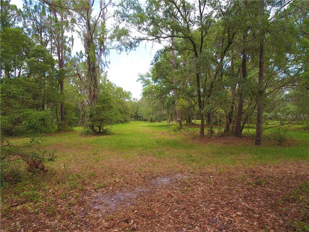 Williams Rd., Plant City, FL 33565