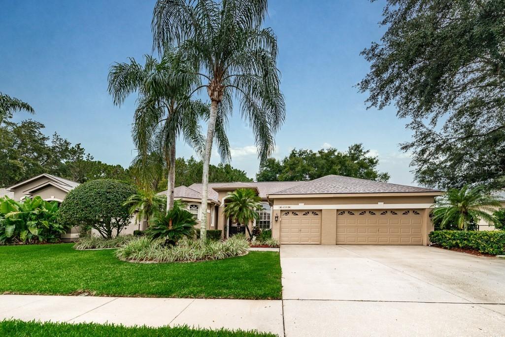 4709 Highgate Blvd., Palm Harbor, FL 34685