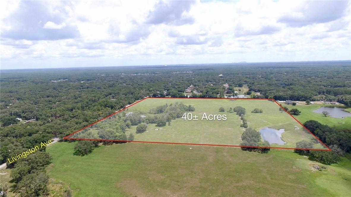 18818 Livingston Ave., Lutz, FL 33549