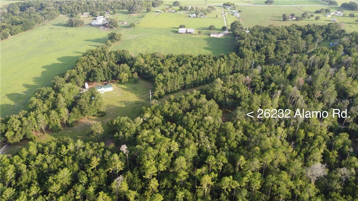 26232 Alamo Rd., Brooksville, FL 34601