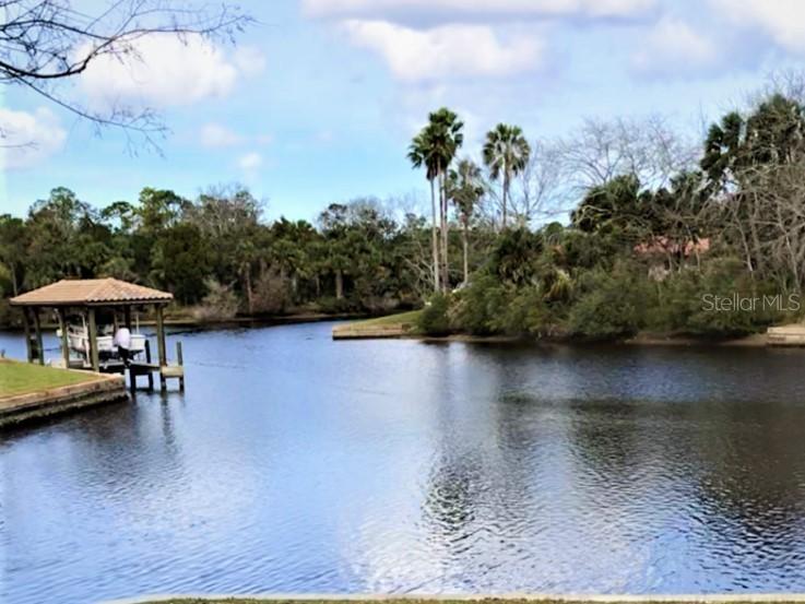 5 Cree Ct., Palm Coast, FL 32137