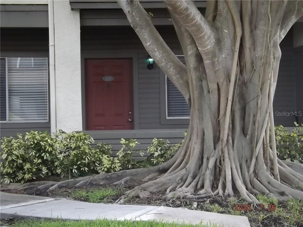 10263 Gandy Blvd. #2007, St Petersburg, FL 33702