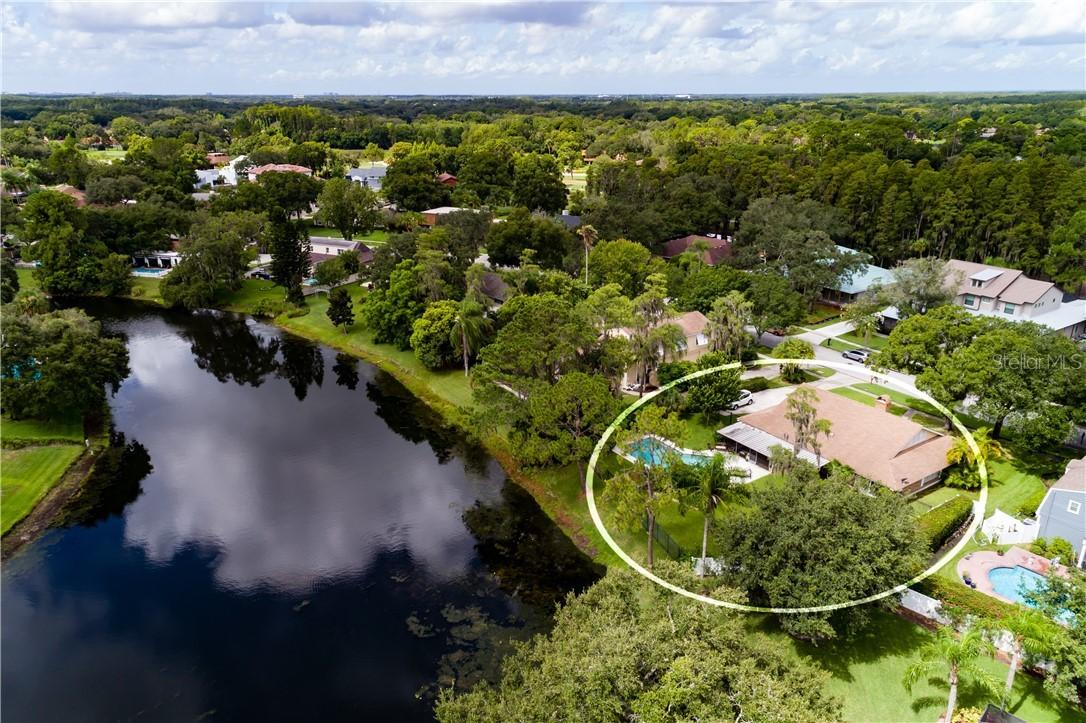 4104 Carrollwood Village Dr., Tampa, FL 33618