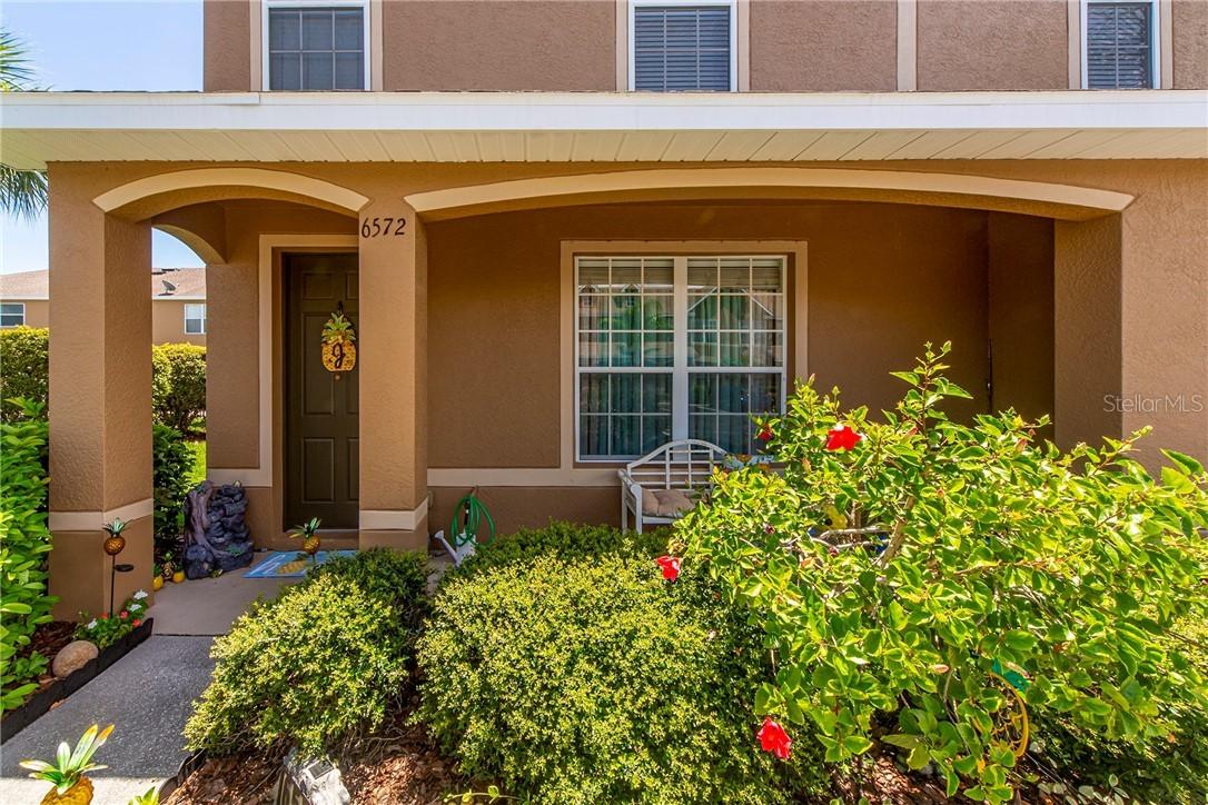 6572 Black Mangrove Dr., Largo, FL 33773