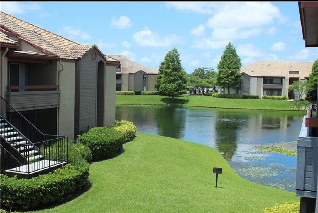 10265 Gandy Blvd. #716, St Petersburg, FL 33702