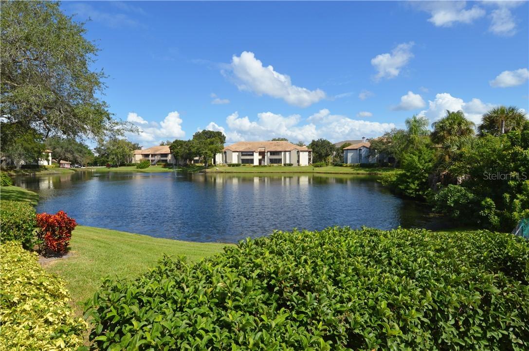 10265 Gandy Blvd. #1612, St Petersburg, FL 33702