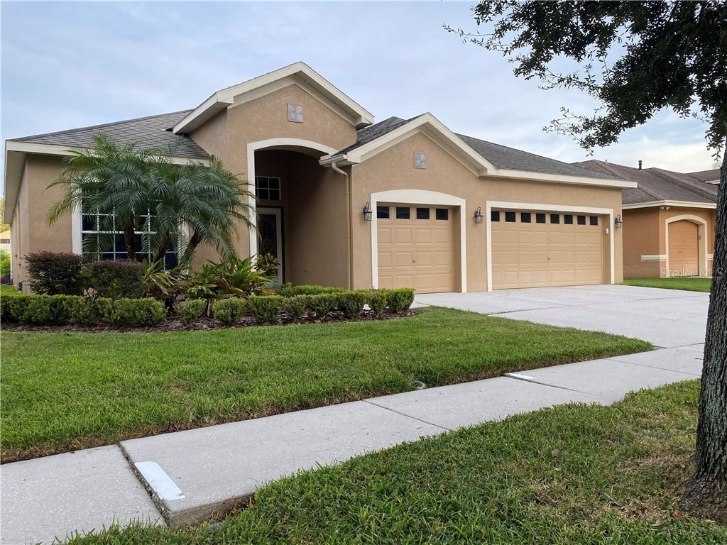 19719 Morden Blush Dr., Lutz, FL 33558