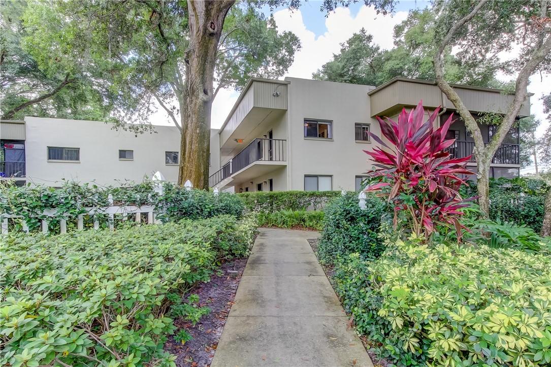 3300 Fox Chase Cir. #200, Palm Harbor, FL 34683