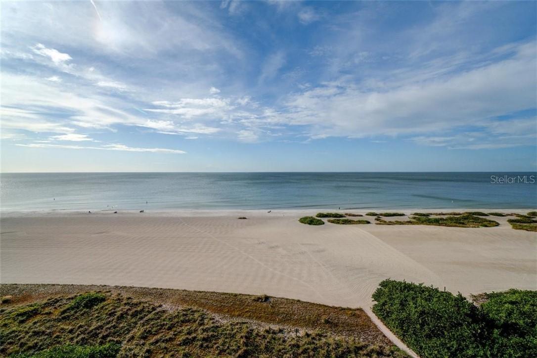 1310 Gulf Blvd. #8D, Clearwater, FL 33767