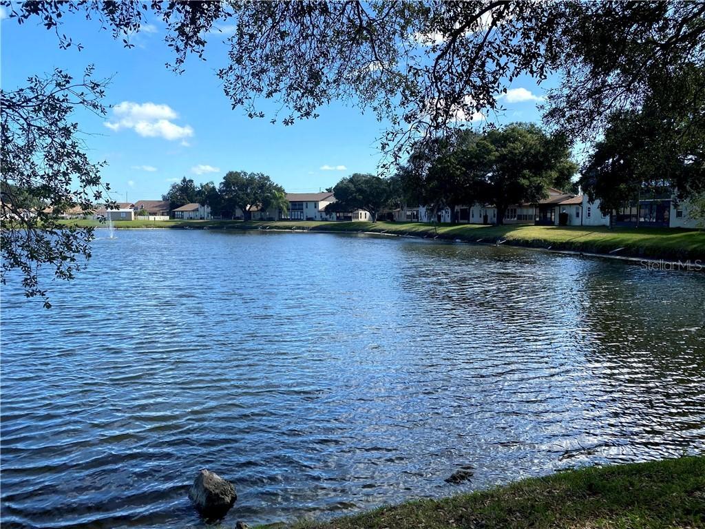 1018 Bowsprit Ln., Holiday, FL 34691