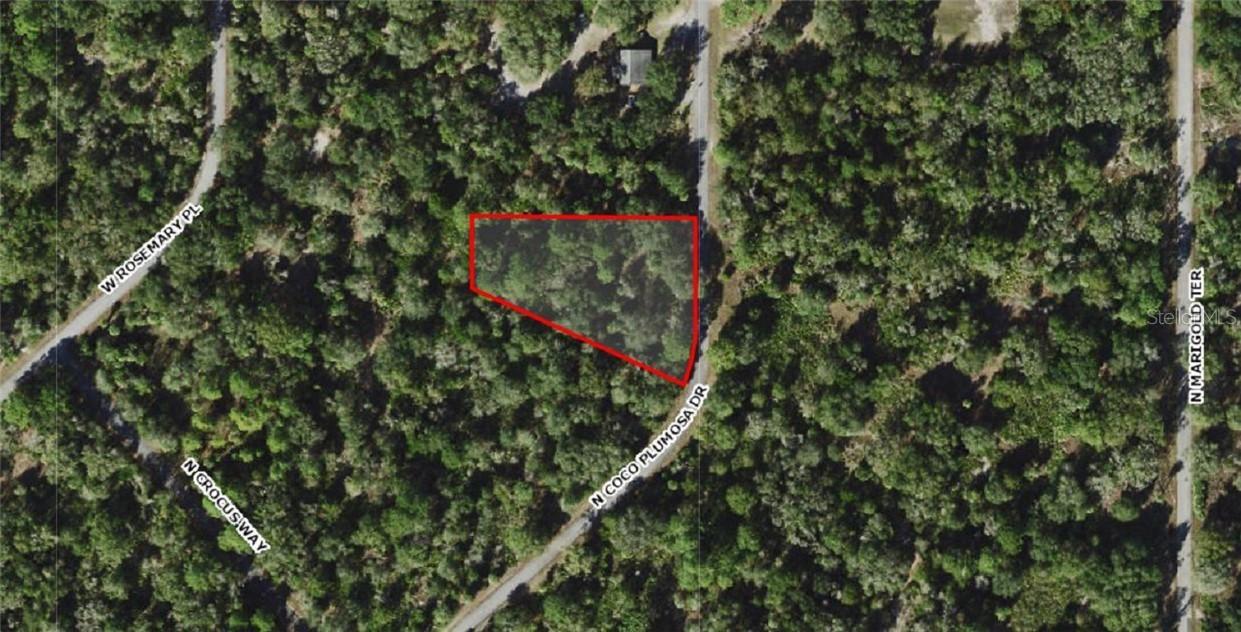 10332 N Coco Plumosa Dr., Crystal River, FL 34428