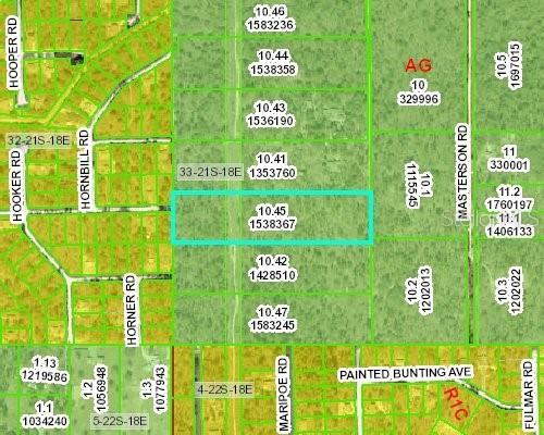 Piping Plover Ave., Weeki Wachee, FL 34614