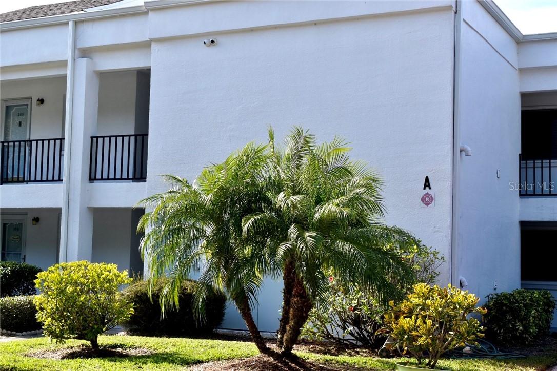 2060 Marilyn St. #204, Clearwater, FL 33765