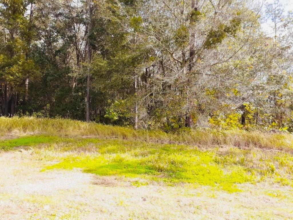 11508 Wicketts Way, Dade City, FL 33525
