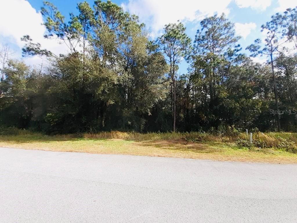 11530 Wicketts Way, Dade City, FL 33525