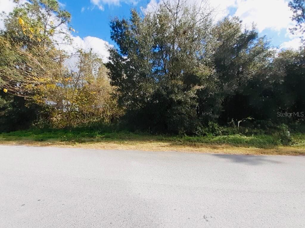 11544 Wicketts Way, Dade City, FL 33525