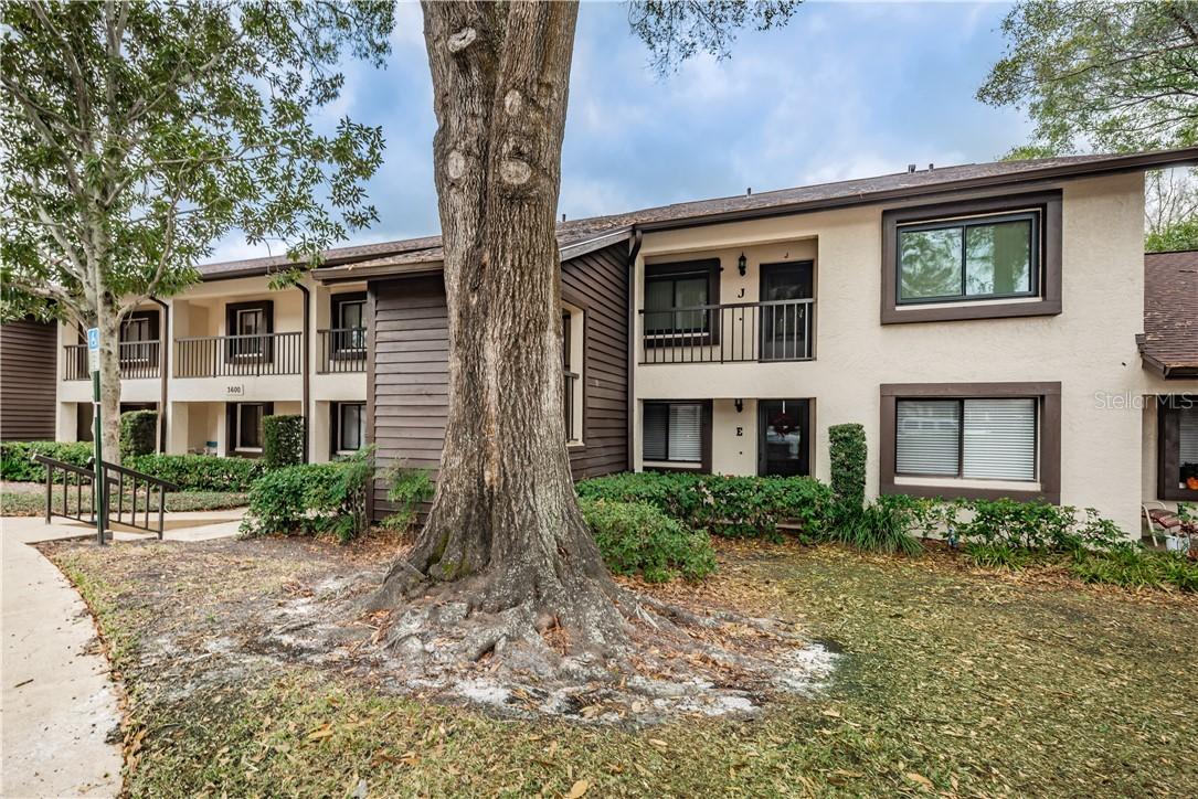 3600 Magnolia Ridge Cir. #1205, Palm Harbor, FL 34684
