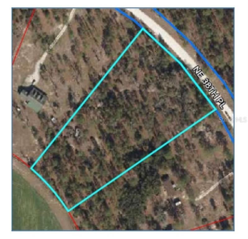 NE 38th Pl., Williston, FL 32696