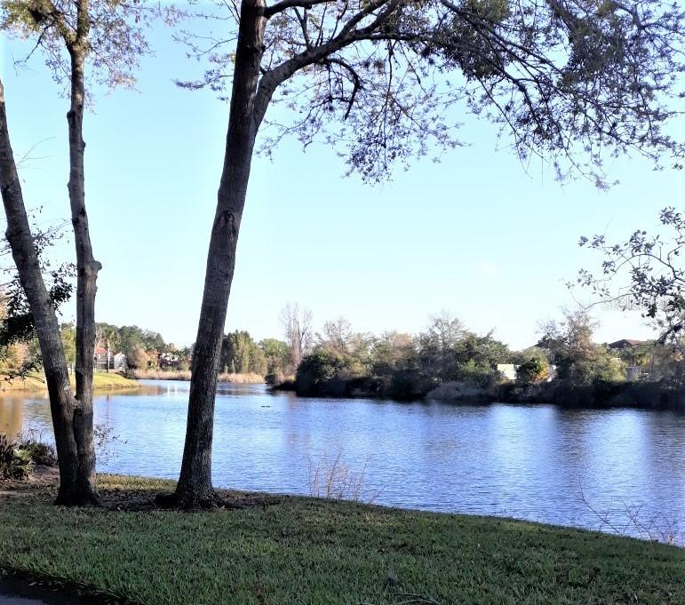 21203 Calle Rosa Dr., Land O Lakes, FL 34637
