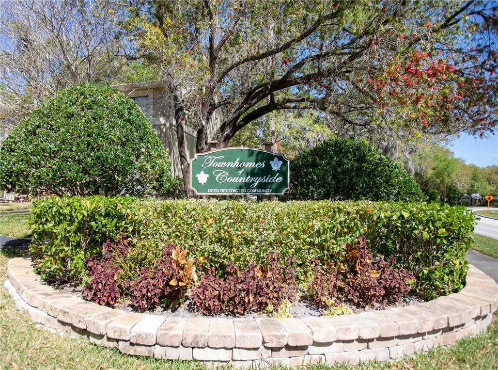 2803 Thaxton Dr. #20, Palm Harbor, FL 34684