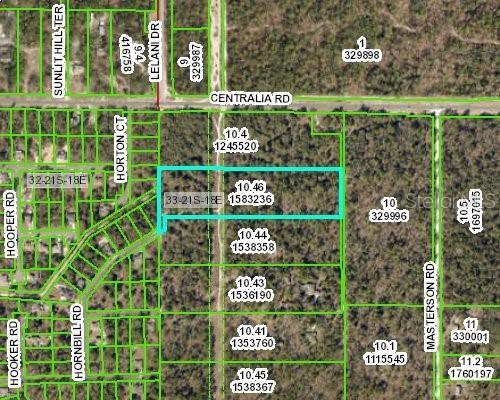 Hornbill Rd., Weeki Wachee, FL 34614