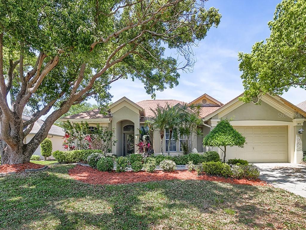 1831 Painted Bunting Cir., Palm Harbor, FL 34683